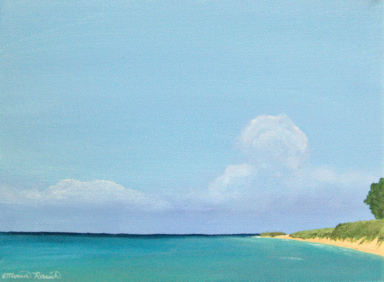 Painting of Christmas Cove